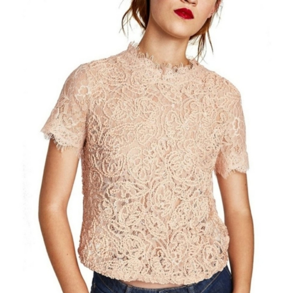 5 for $25 | Zara Trafaluc Embroidered Lace Back Zipper Top